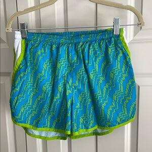 Champion Blue and Green Athletic Shorts